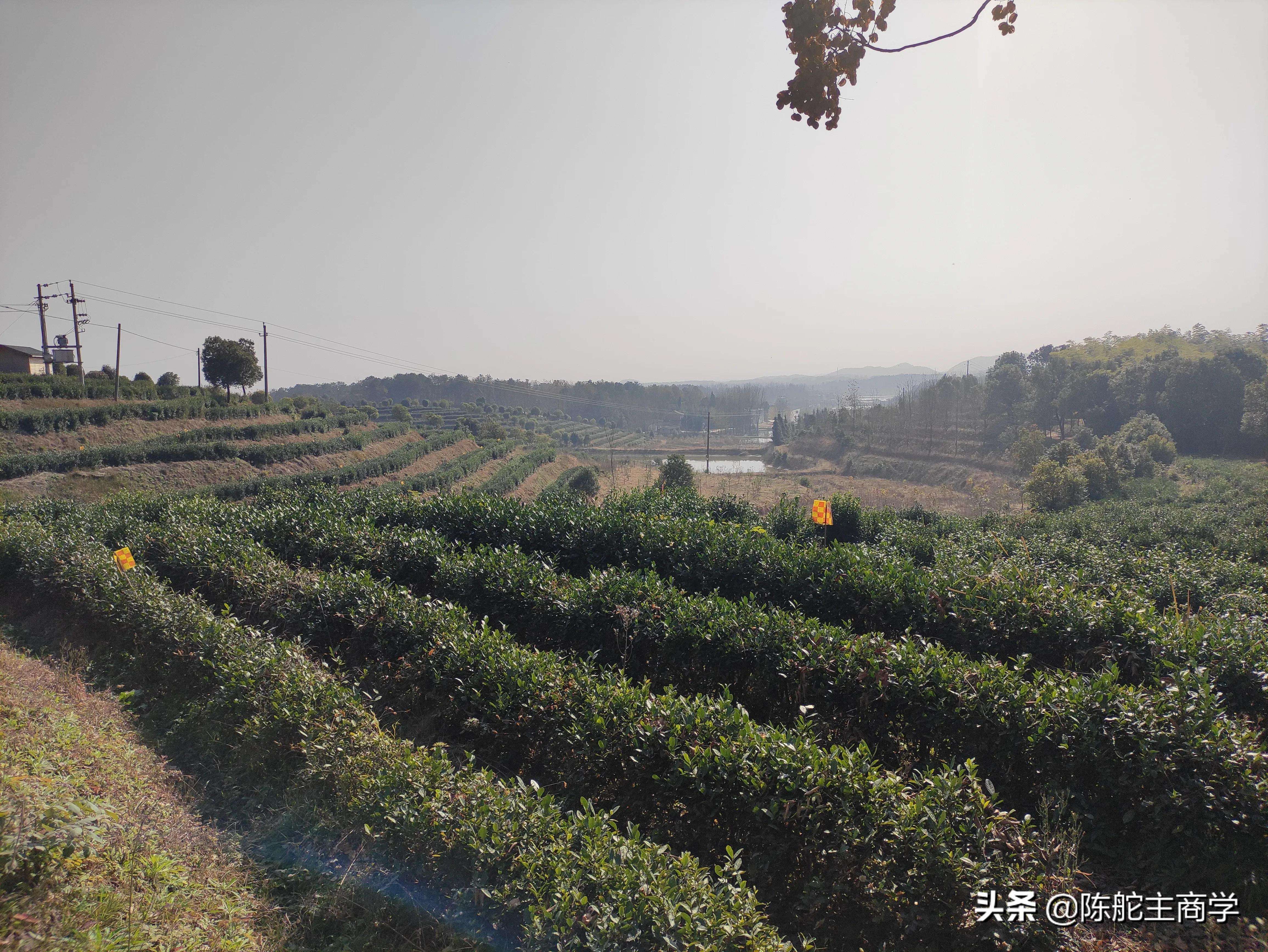 有生意做的老板们，如何通过自媒体给产品引流，日赚500块钱？