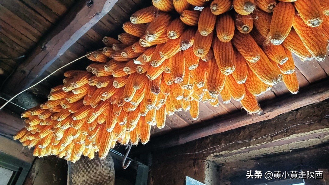 每小时都有班车经过的山谷，风景幽静迷人，探秘秦岭其实很简单