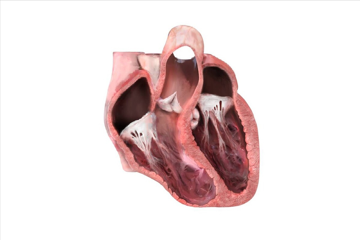 消心痛又叫什么(心肌梗死后) - 百百科