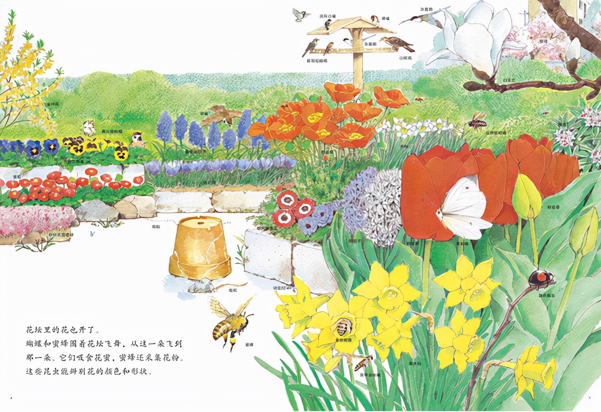 《路边的四季》带领我们发现自然之美，重温被我们忽略的生活细节