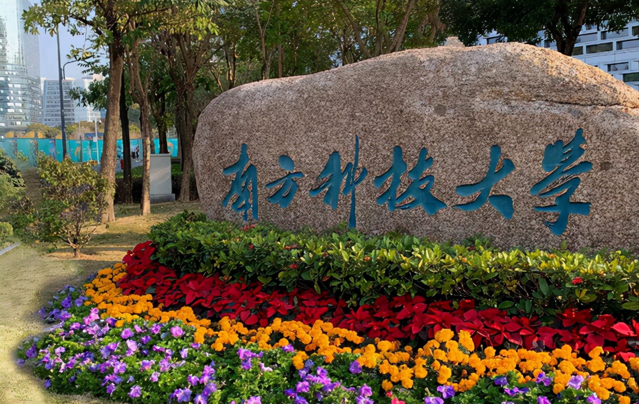 2022广东高校排名公布！中山大学蝉联第一，南方科技大学表现出色