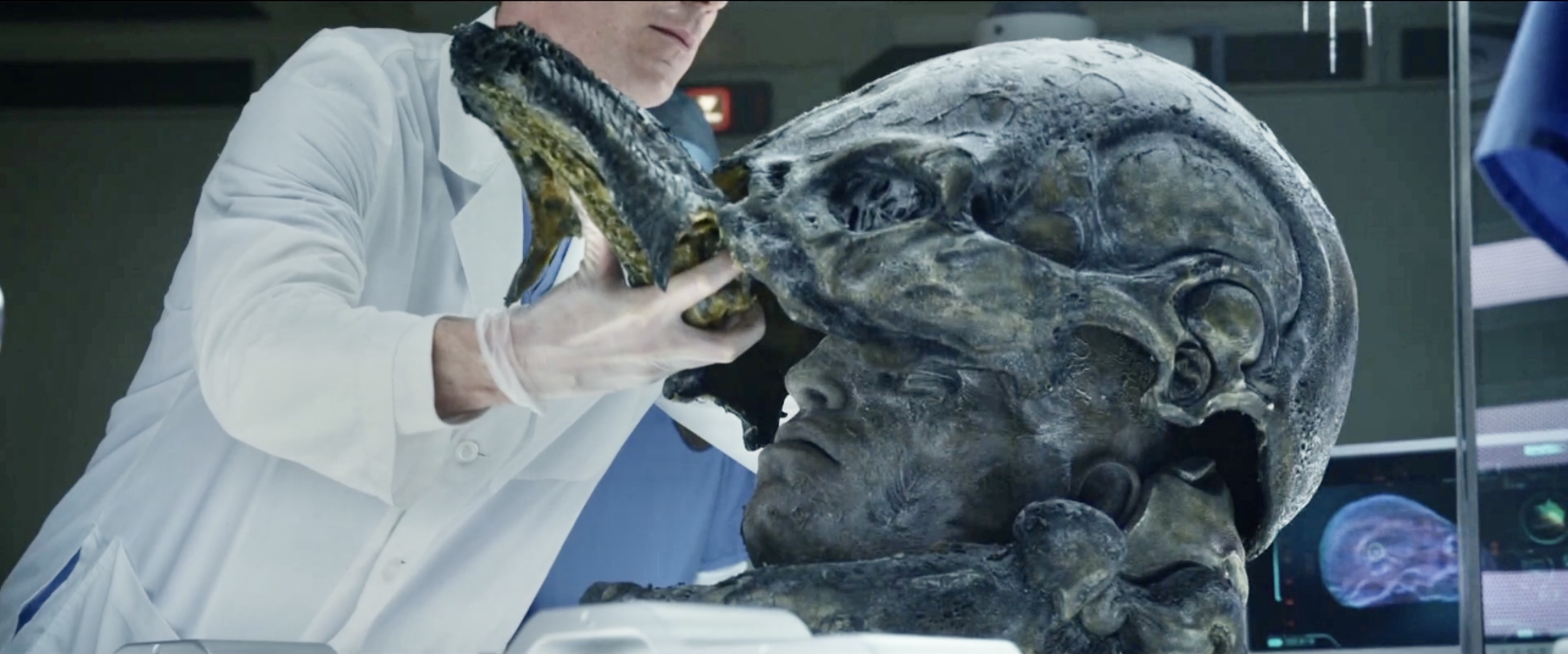 异形起源与铁血战士以及工程师有什么关系,普罗米修斯谜题解答