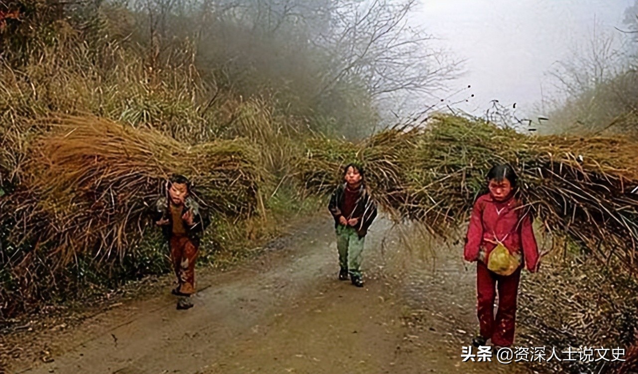 湖南无臂女孩：小6岁丈夫不离不弃，靠双腿换尿布，2017年生二胎