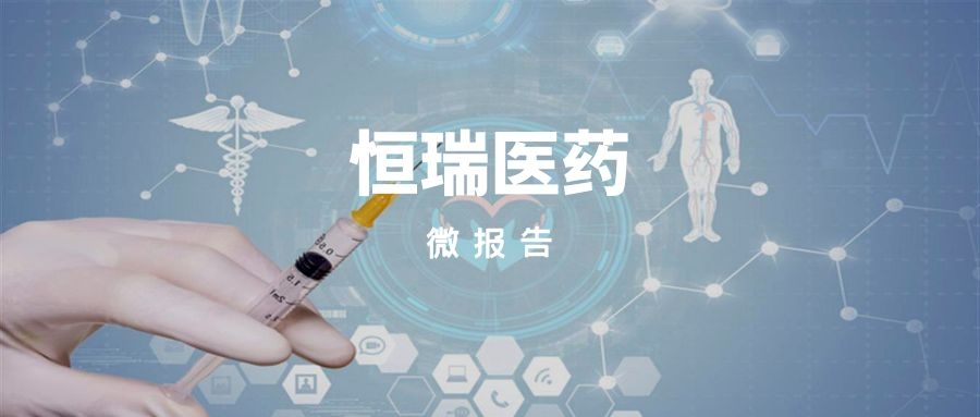 恒瑞医药何时重拾升势，孙飘扬表示需更多产品支撑公司发展