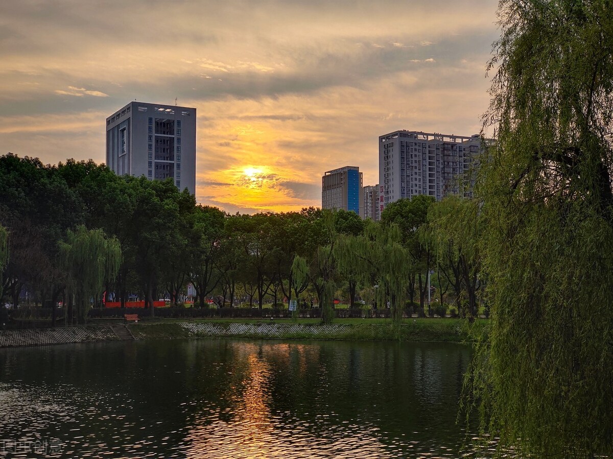 这5所“学院”将要更名为“大学”，发展速度快，适合学生捡漏