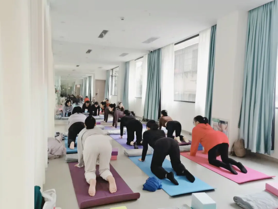 「瑜伽·致爱」孕育生命的过程,虽忐忑,也温暖