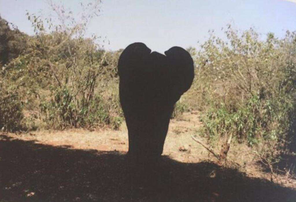 这6位“星二代”资源好到爆，却就是红不了，背后原因发人深省