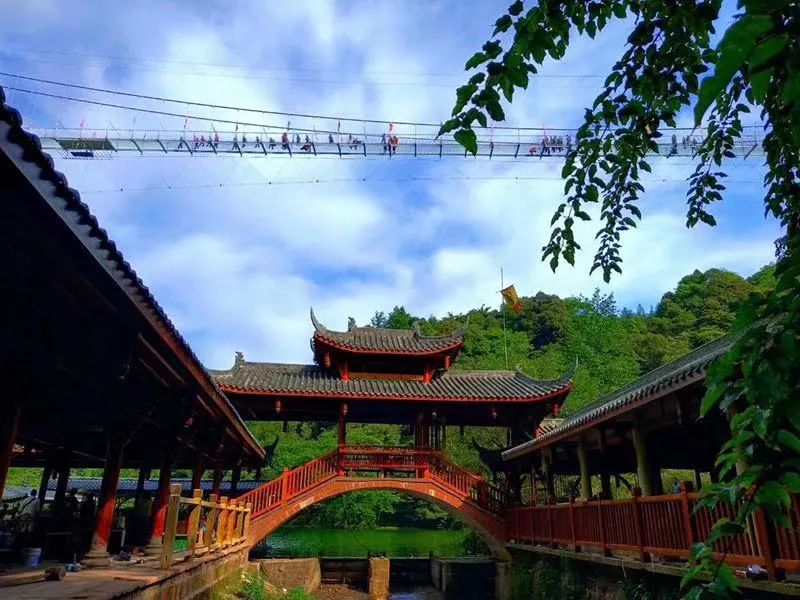 炎炎夏日何处去，快躲进老峨山里过一个凉爽的夏天