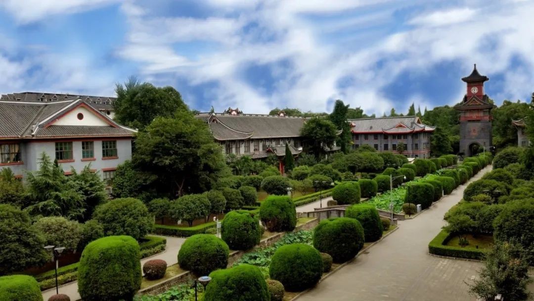 85%名校深造！四川大学“曝光”硬核学院，这3个本科专业今年招生！