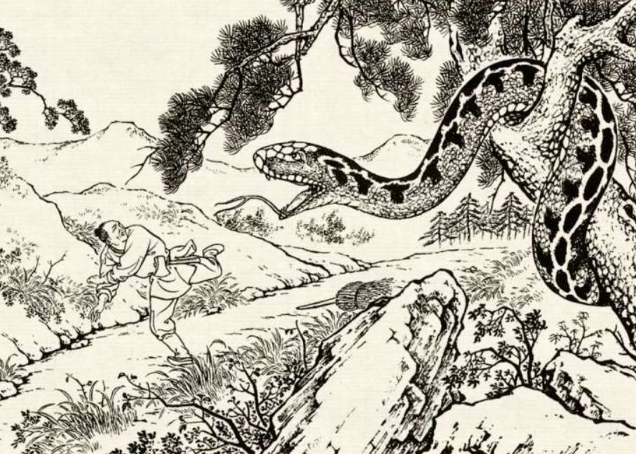 梦到三条蟒蛇预示着什么(男子回家,换了三条道都被