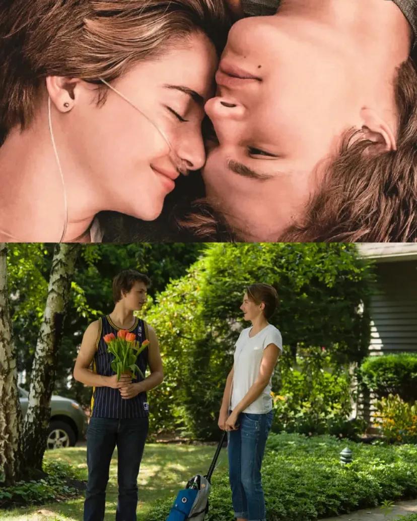 情侣必看4部高分爱情电影推荐