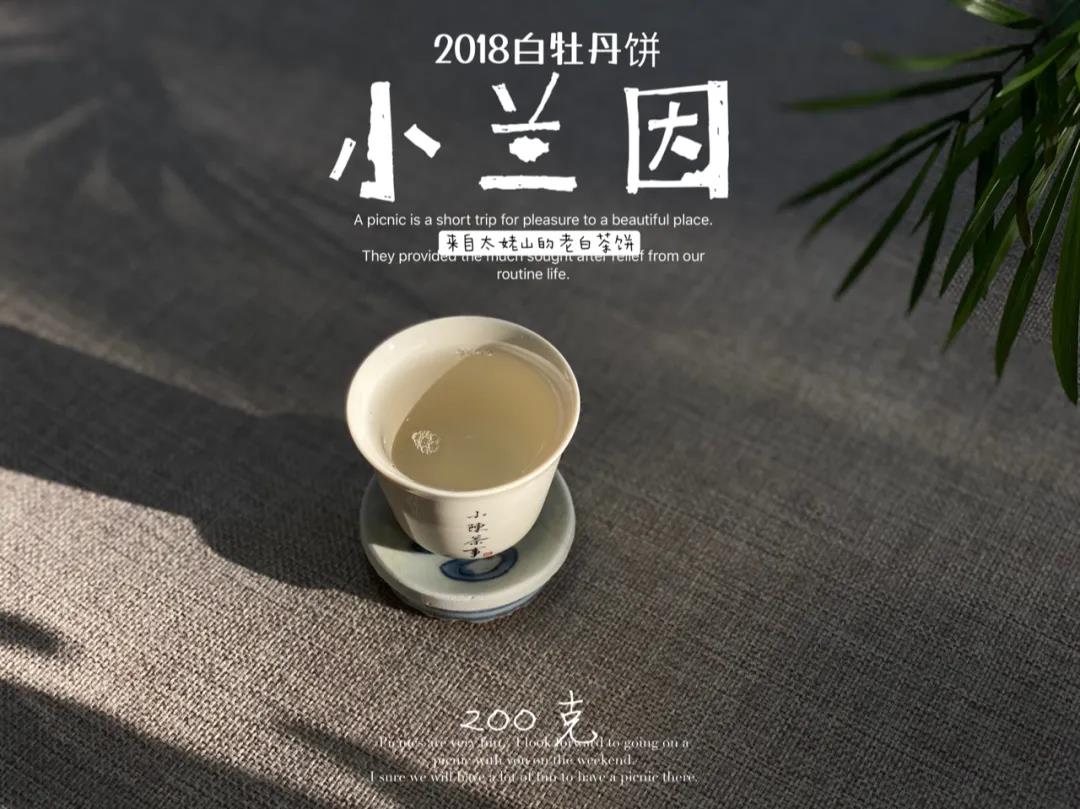 白茶冲泡方法（5个泡茶技巧可以让白茶更香）