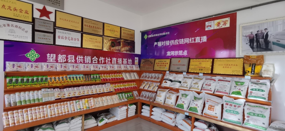 河北望都：产销对接持续培育企业电商技能