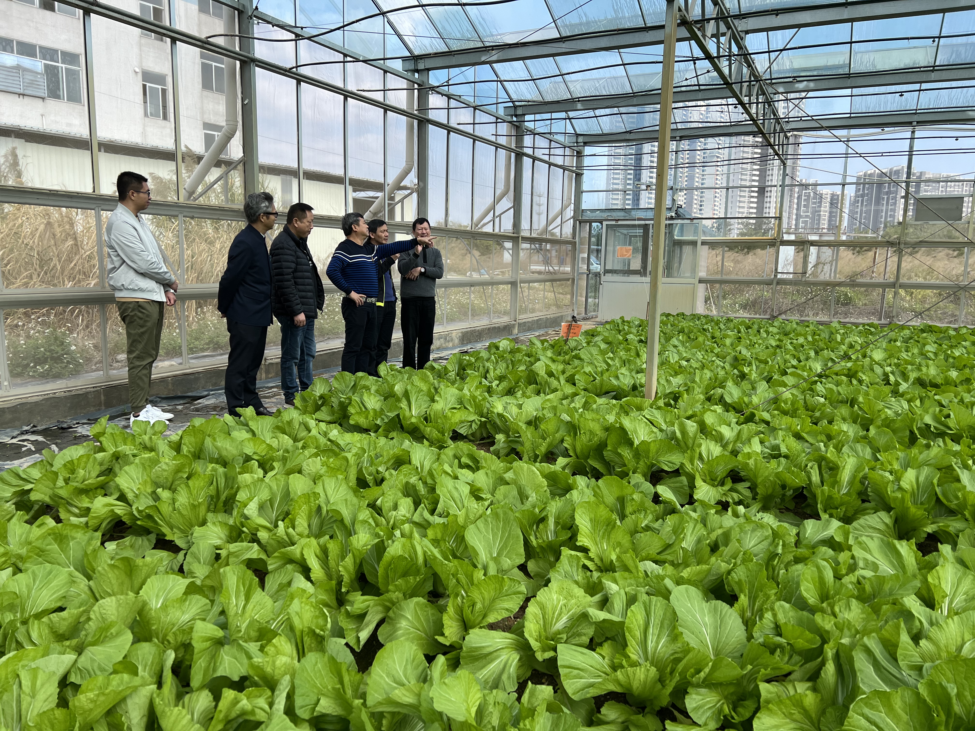 三高种植玻璃温室生态模式研讨会在广东钜仕泰新材料有限公司召开