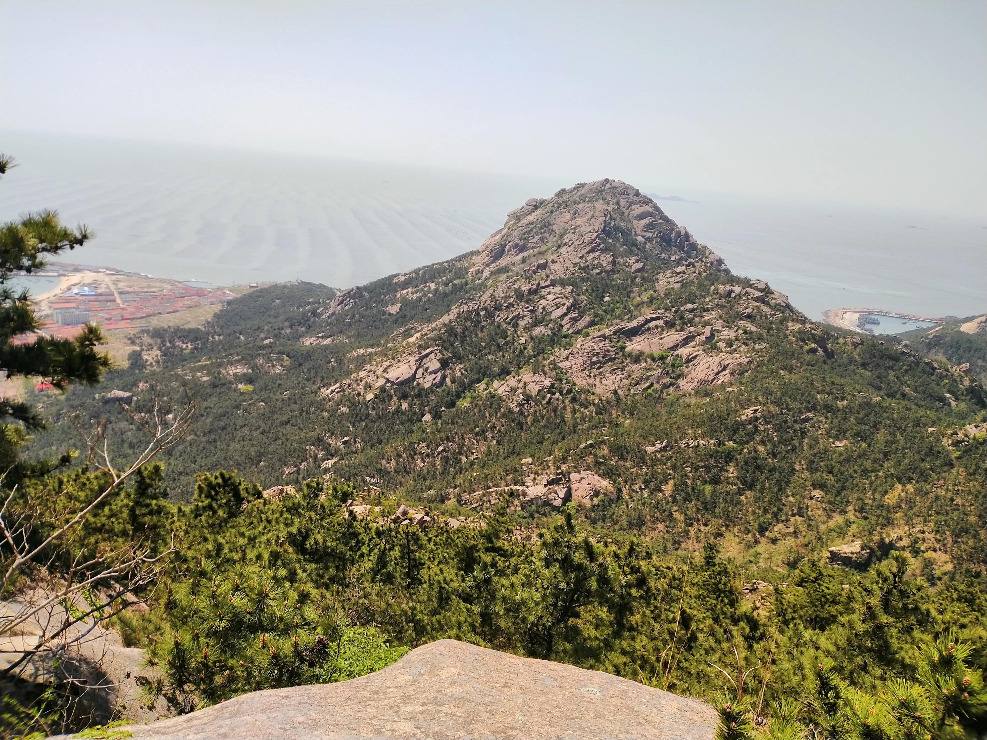 我用不起律师助理