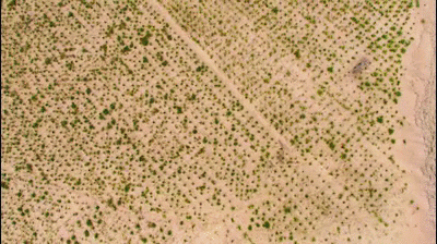 йֲ̻ˮԴȱѧңȿһѷ