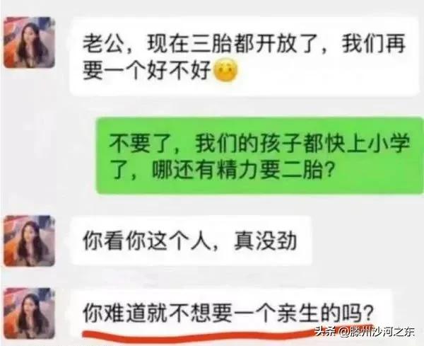 神回复：汪汪队集体病假，有事不要呼叫莱德