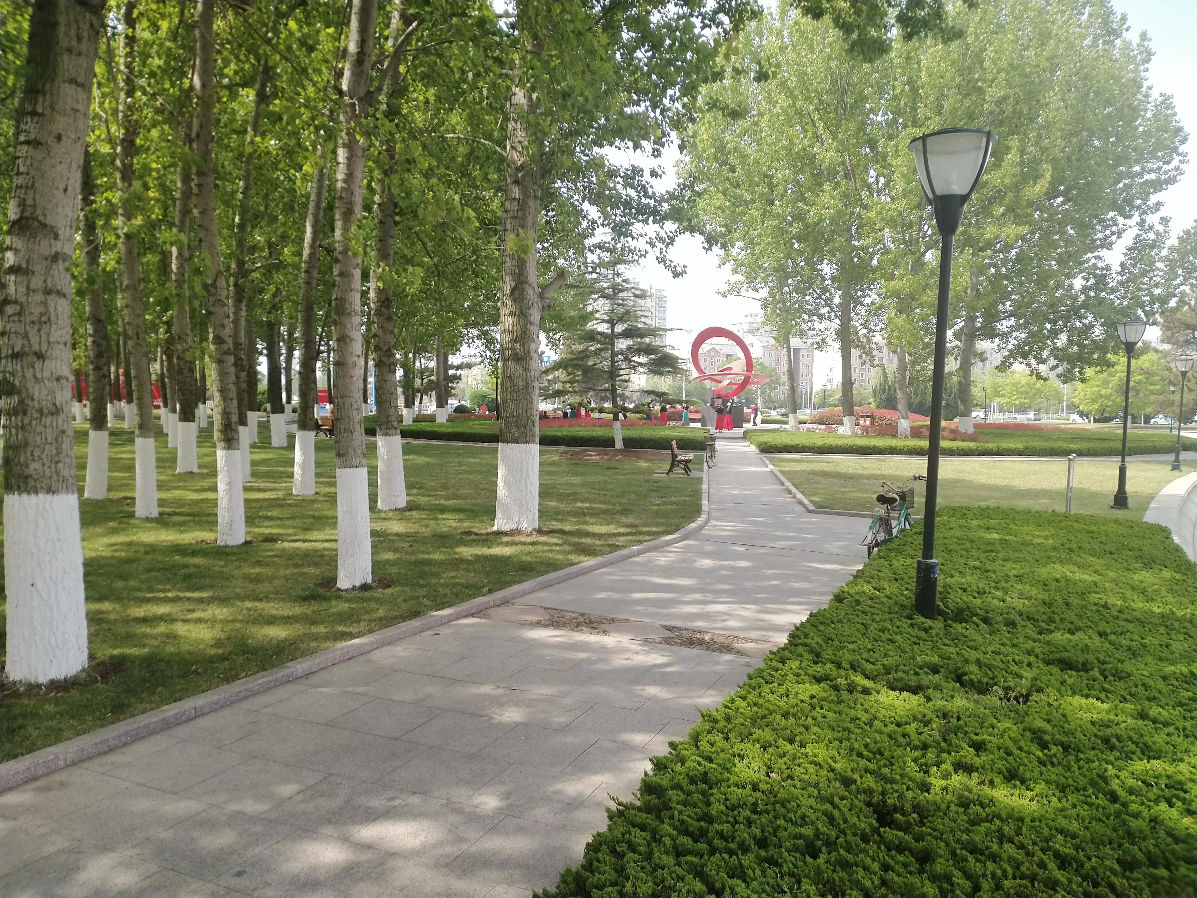 要理性看待律师这份工作