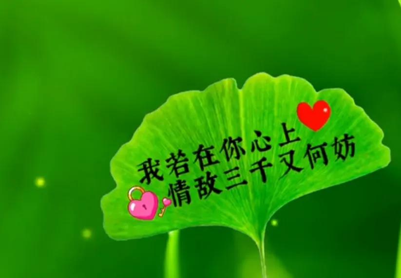 你是我的独宠，我是你的专属；余生，追随着你相伴到老