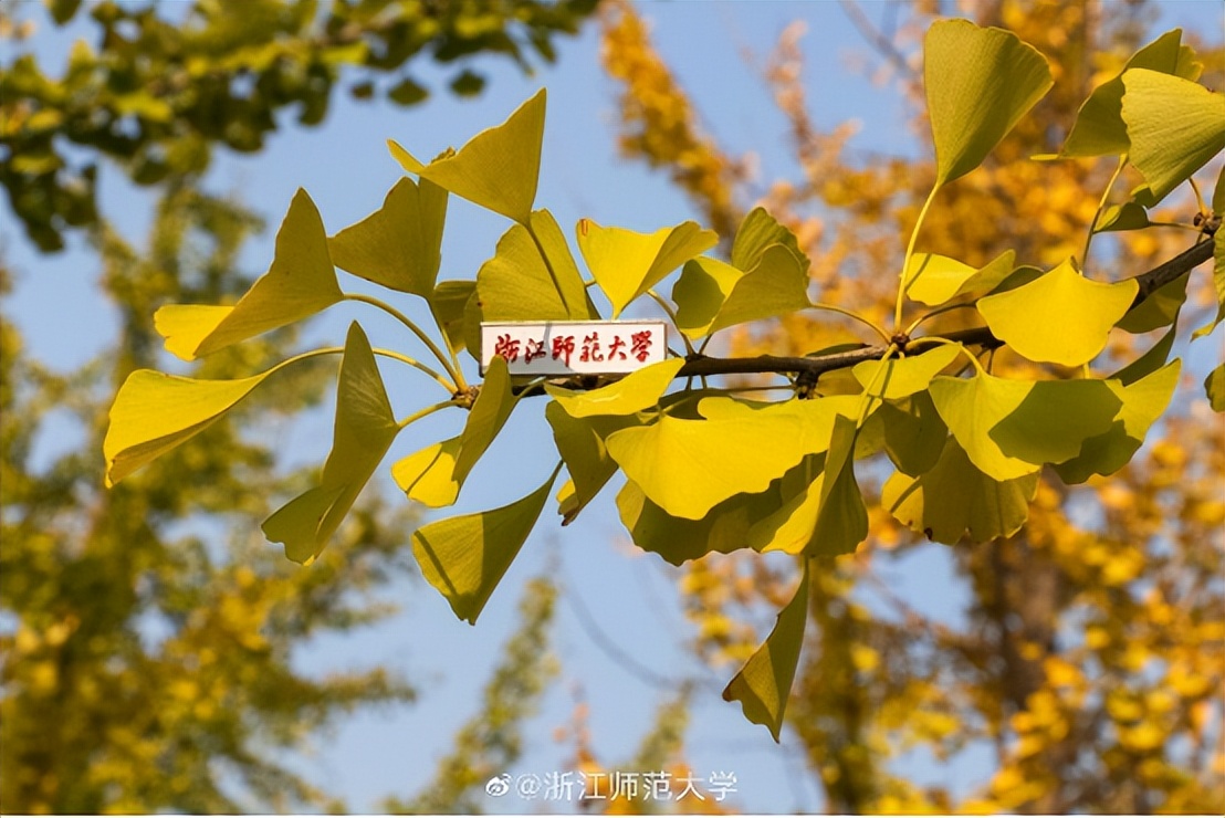 浙江师范大学教育学院（23教育学考研）