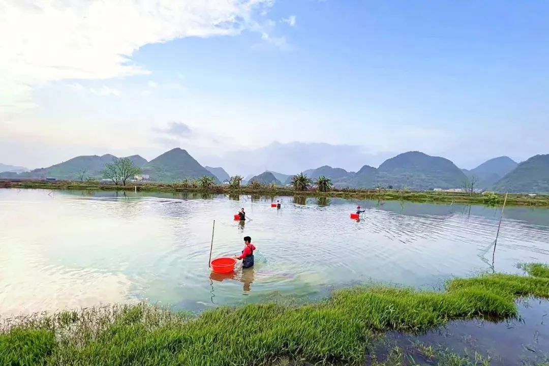 徐霞客在此住了54天，这里是四季花期永不过时的南宁“后花园”……