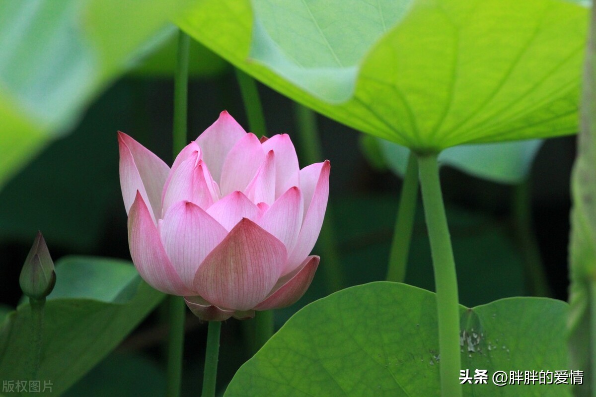 幸与不幸都有尽头，见者有份，好事发生；适时清零，更好前行