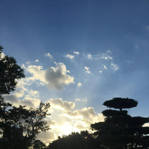 战胜内卷，拒绝躺平！高考作文参考范文《担大义，圆梦想》