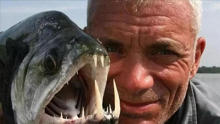 亚马逊河中隐藏的十大恐怖生物，谁是真正的霸主？食人鱼是开胃菜