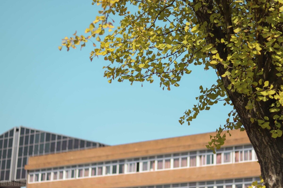 宁波大学2021年三位一体综合评价面试真题