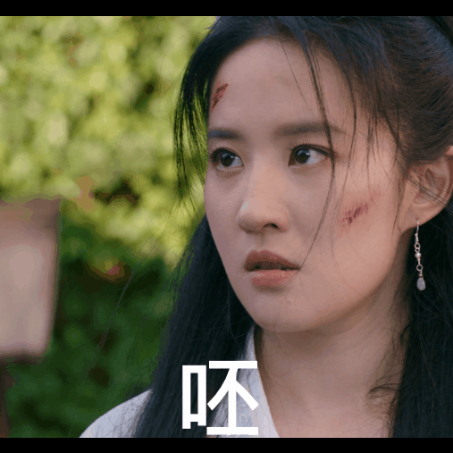 梦华录刘亦菲表情包