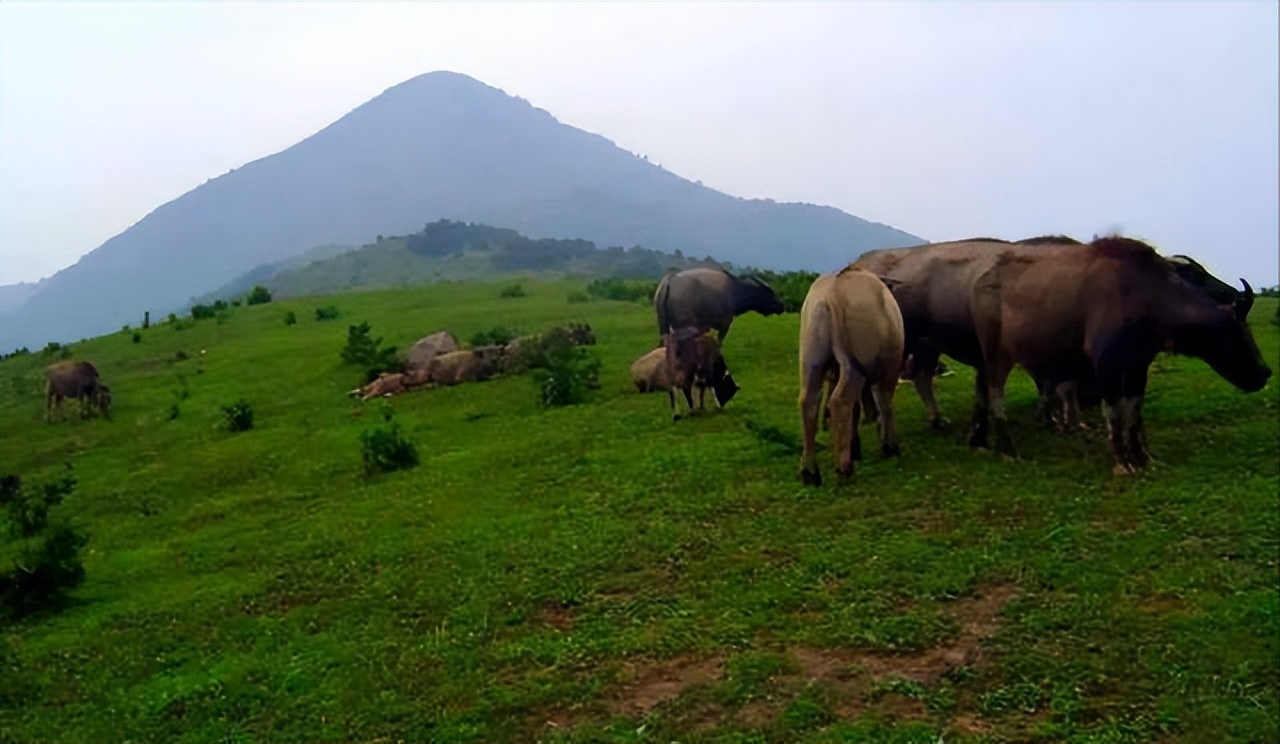 乡居 | 一起来一场远离尘市的乡野生活体验吧......