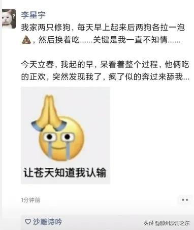 神回复：汪汪队集体病假，有事不要呼叫莱德