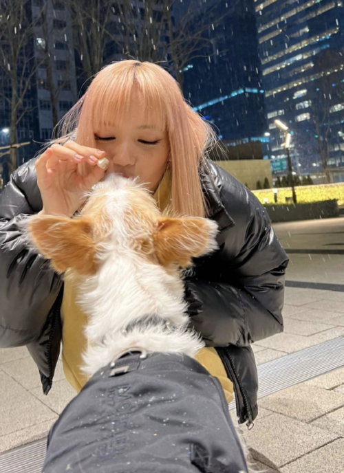 新年開年女團價值排行，韓國人都在想blackpink，IVE出道熱度大