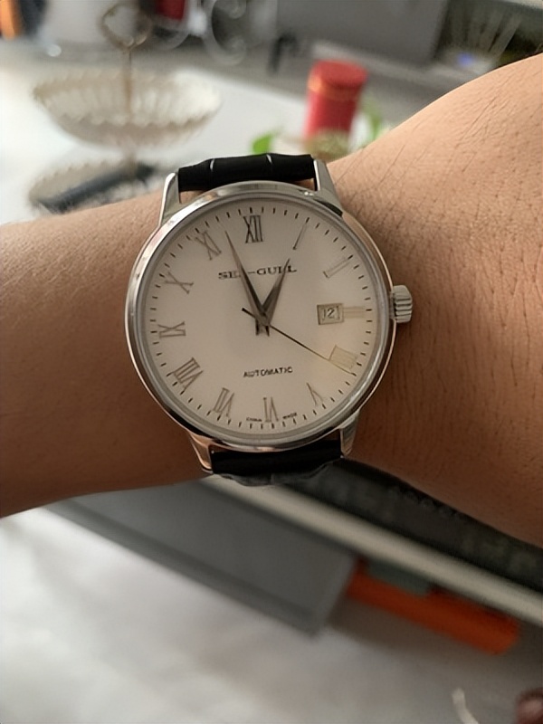 seagull海鸥手表男自动机械表皮带防水休闲国民系列男表613￥1509购买