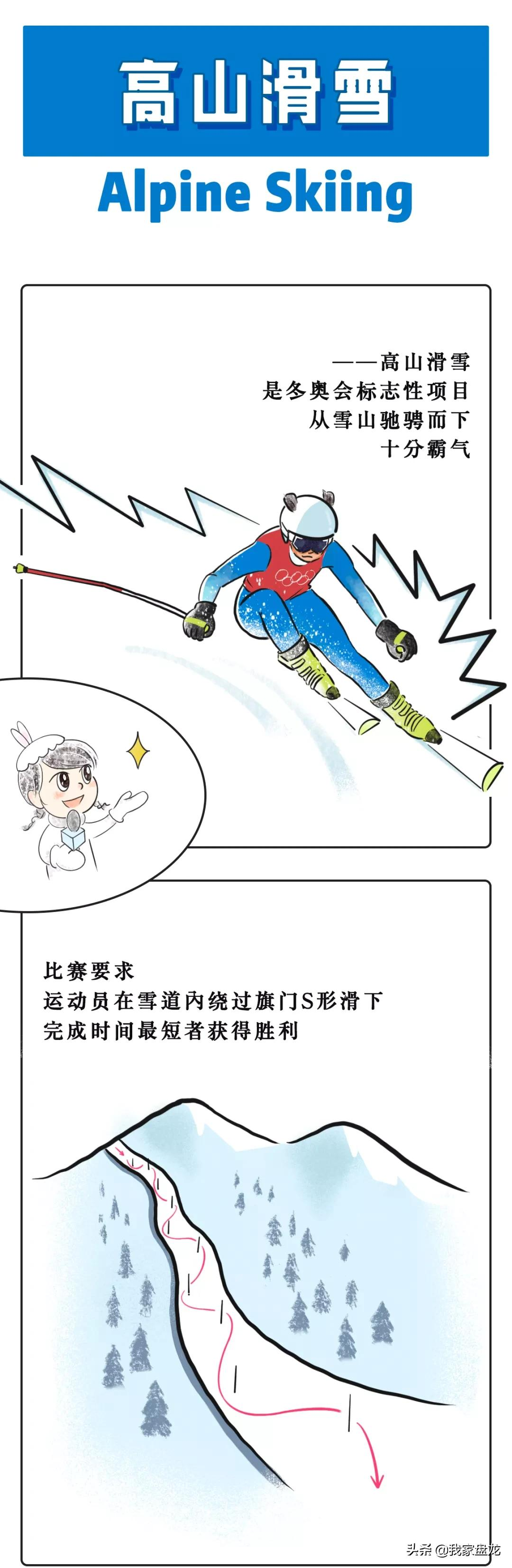 奥运会都有哪些项目的画法(一条漫画带你看懂北京冬奥会15个比赛项目！)