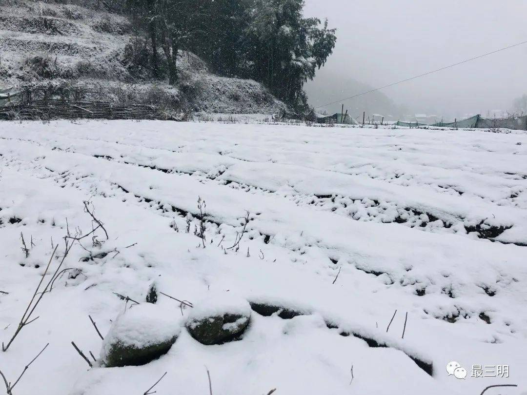 春雪飞舞兆祥瑞 诗词歌赋祝丰年