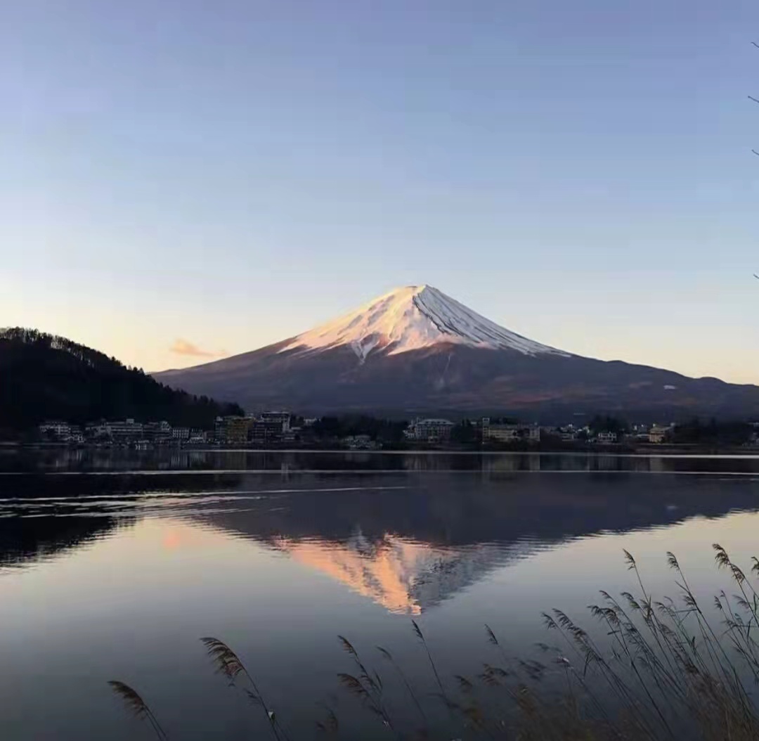遗憾又错过的文案