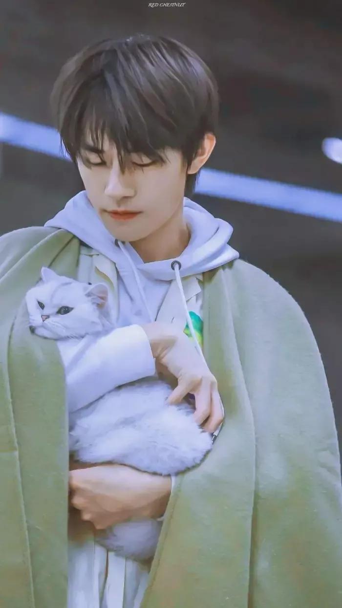 易烊千玺高清壁纸，每一张都好帅