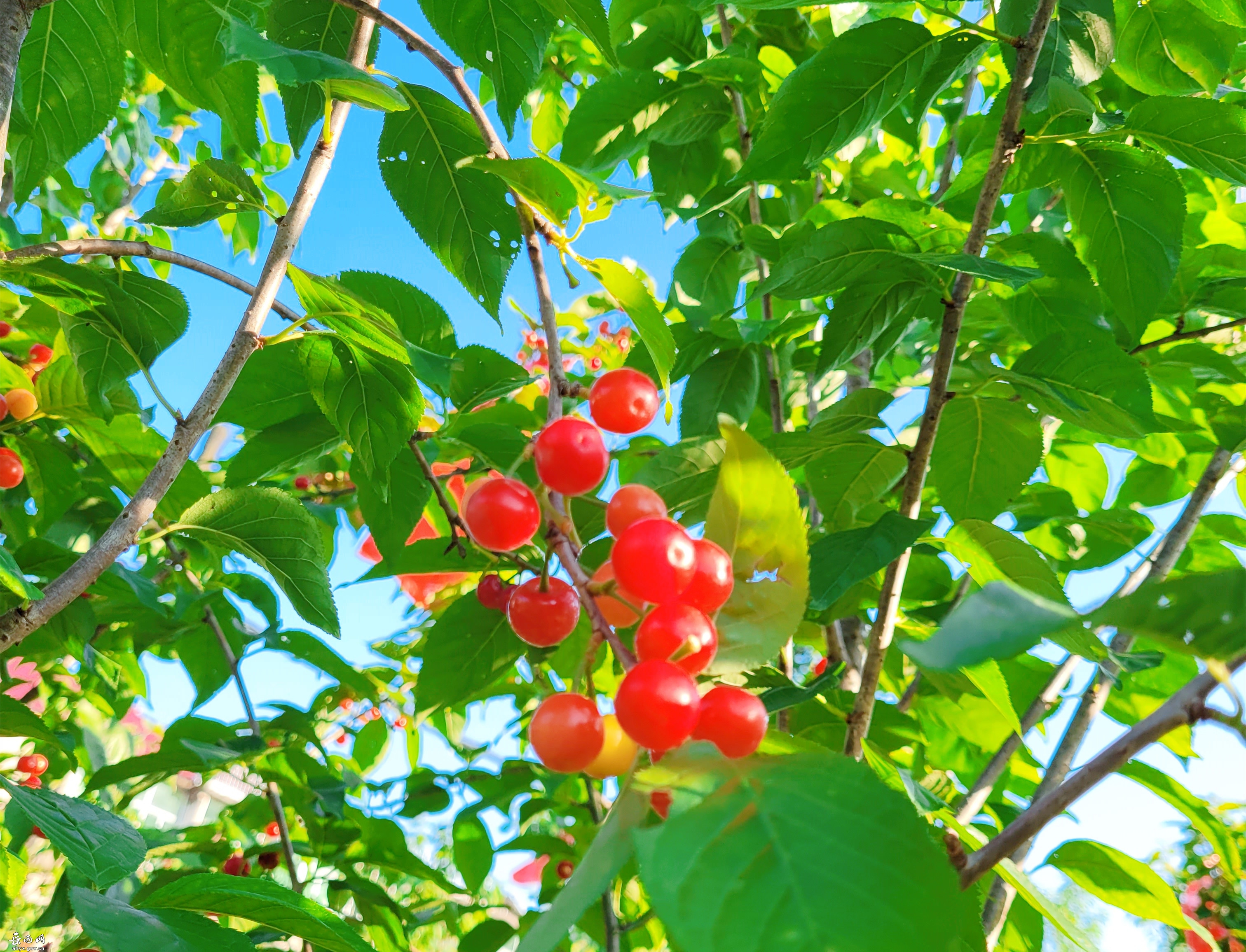 乡居 | 一起来一场远离尘市的乡野生活体验吧......