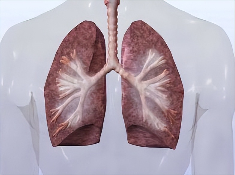 吸煙的人，早上起床後若沒有這3種“不適”，說明你的肺還算乾淨