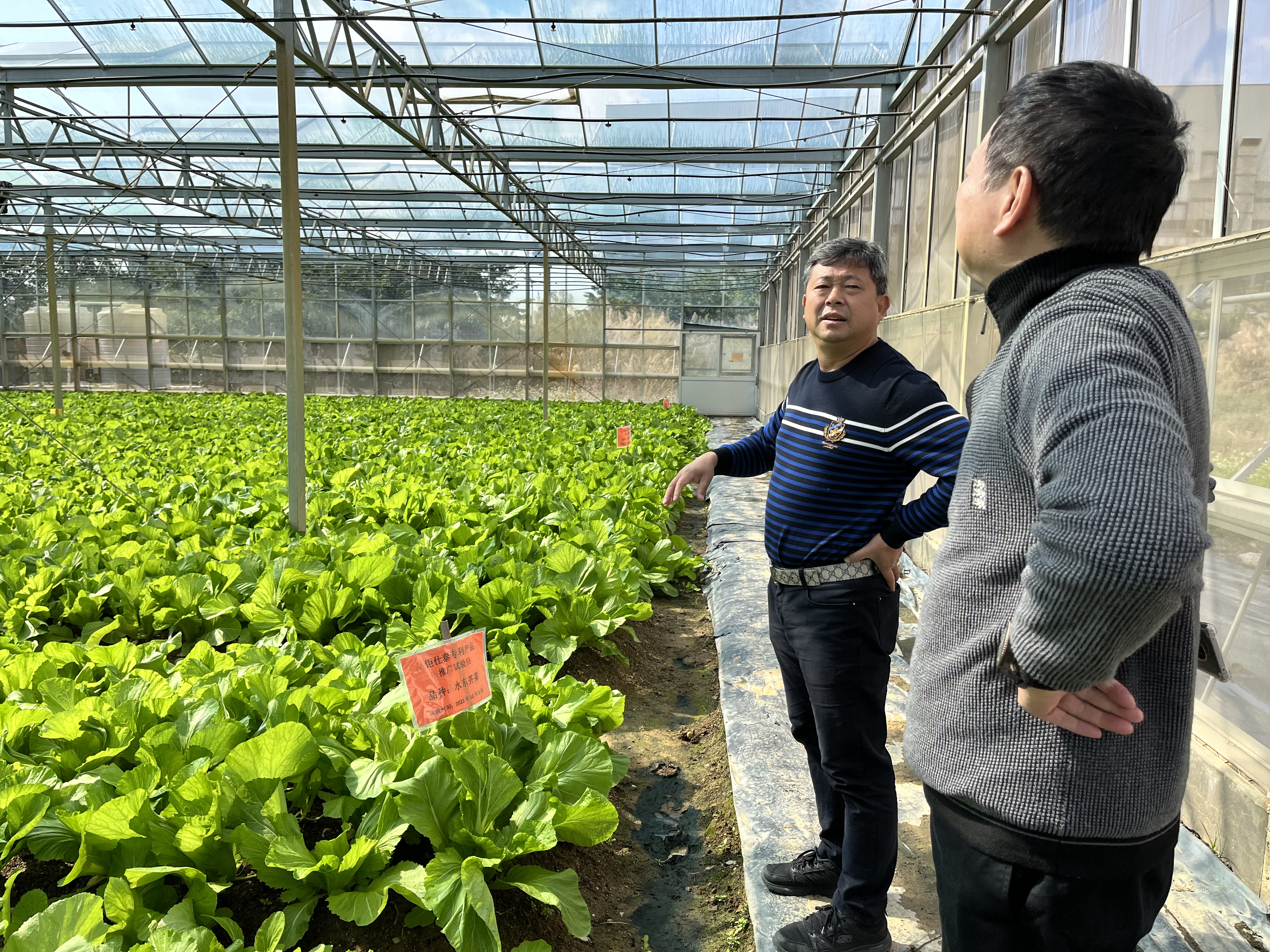 三高种植玻璃温室生态模式研讨会在广东钜仕泰新材料有限公司召开