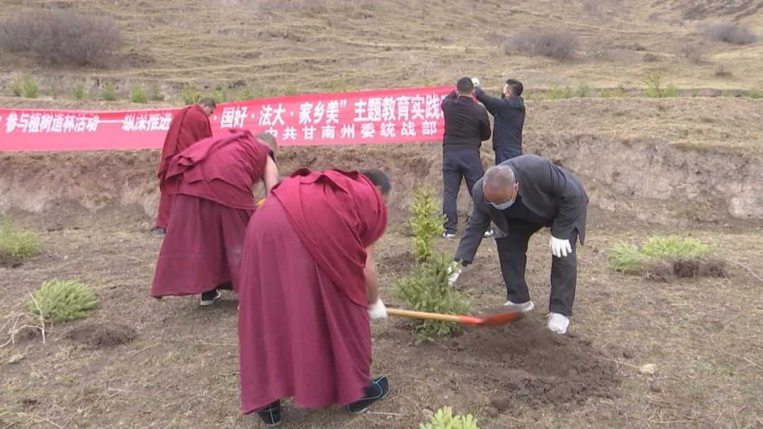 州委统战部在术布乡江可寺开展“绿色寺庙 美丽家园”植树活动