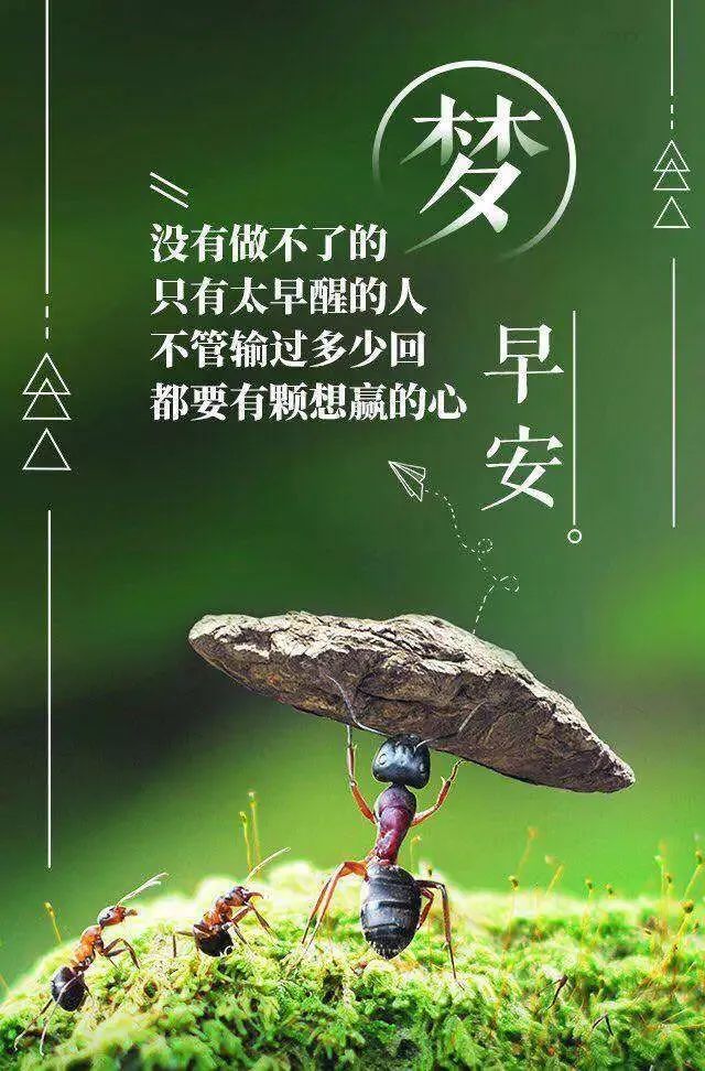 「2022.05.02」早安心语，正能量文案语录 奋斗不止早上好经典语录