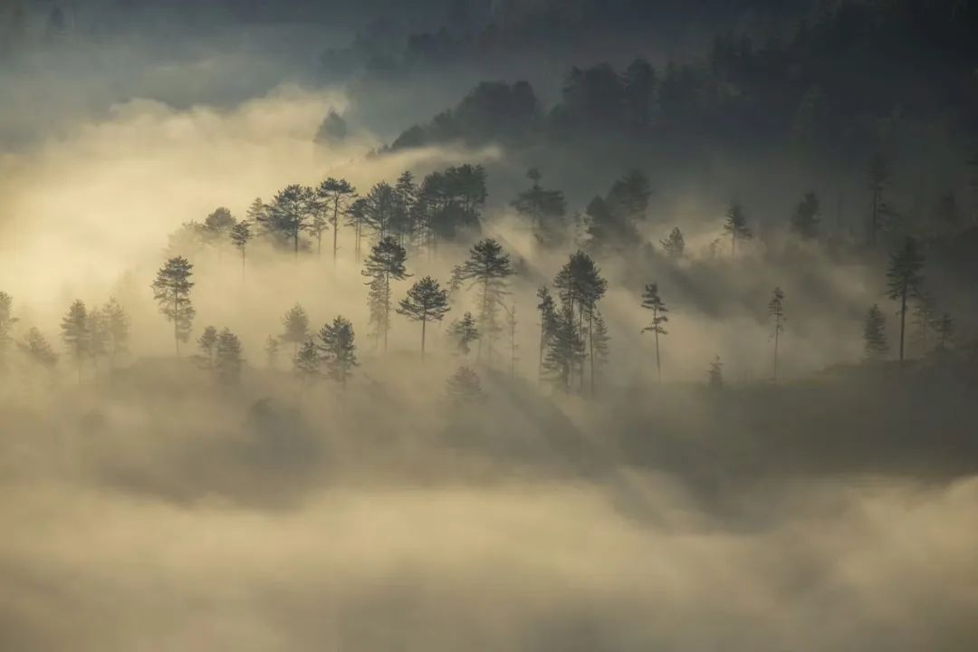 漢中踏青好去處，這個地方必打卡！