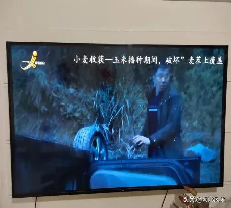 二点委夜蛾研究再创新 生态调控措施普及推广