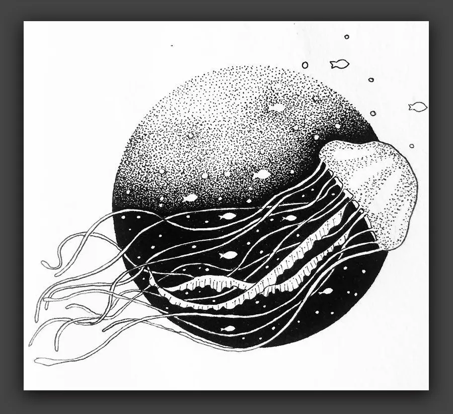 黑白线条装饰画(黑白线条装饰画鱼)-我的快乐小窝