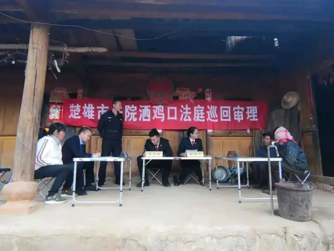 【新闻宣传走基层.他山之石】绽放的“马缨花” ——楚雄市法院洒鸡口法庭侧记