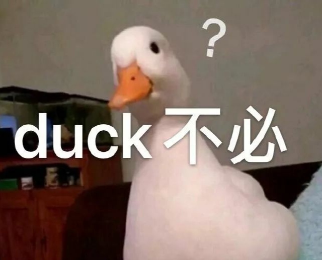 「热梗百科」“duck 不必”什么梗？