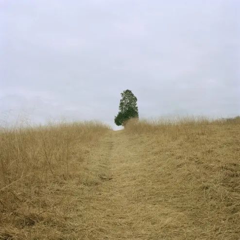 去美国学摄影，有什么好学校（本科）