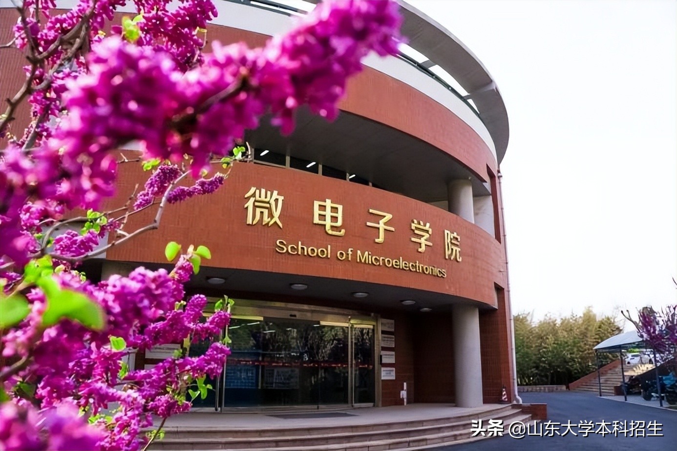 芯片人才紧缺！这类专业很“火爆”，毕业生入职华为、中芯国际等名企！